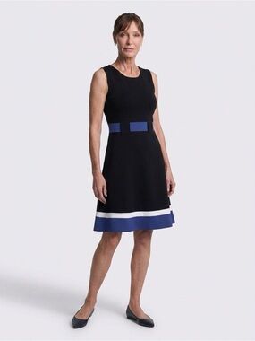 Enfocus Studio NWOT Blue White  Color Block Dress Size 8